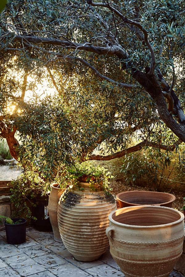 Nikolaou Art Residence Aegina Extérieur photo